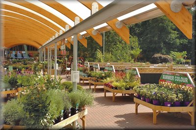 Ten Merchandising Lessons for Garden Centres